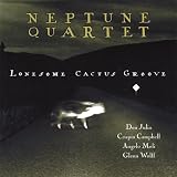 Lonesome Cactus Groove