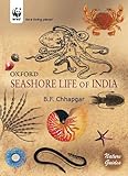 Seashore life of India