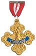 Cowardly Lion Badge of Courage
