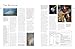 The Complete Encyclopedia of Signs & Symbols: Identification and analysis of the visual vocabulary that formulates our thoughts and dictates our reactions to the world around us