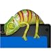 Toys : USB Chameleon