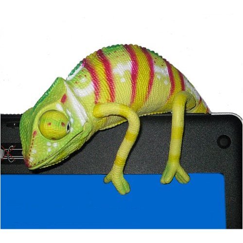 Buy USB Chameleon online at Discounted New and Used prices. Delivered to your door with Childrens Toyshop.com
