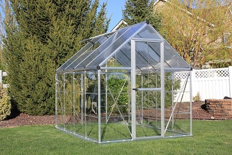 Brighton Greenhouse 6x8