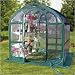 Clear SpringHouse Greenhouse w/ Free Butterfly Folding Stool