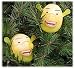 10L Shrek Covers Green/Clear Image