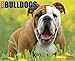 Bulldogs 2015 Calendar