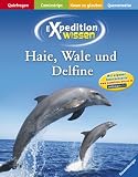 Haie, Wale und Delfine (Expedition Wissen) - Sylvia Englert