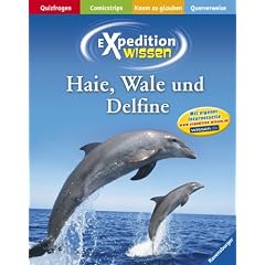Haie, Wale und Delfine (Expedition Wissen)