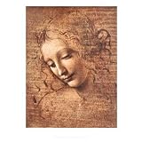 Leonardo da Vinci (Female Head, La Scapigliata) Art Poster Print - 22x28