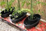 Botanico Let's Grow Growbag Watering Pots (Set of 3)