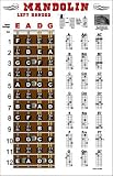 Left Handed Mandolin Fretboard and Chord Chart Instructional Poster