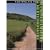 100 Walks in Buckinghamshire and Hertfordshire