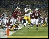 James Harrison NFL 8x10 Photograph Super Bowl XLIII 100 Yard Interception High Step