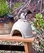 Woolrich Garden Toad House