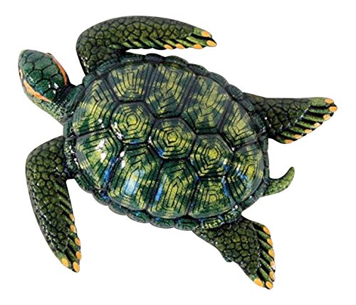 Tropical Green Sea Turtle Beach Tiki Kid Nursery Bath Wall Decor 8 Inch 8stw06 Caroline J Wilsonrx