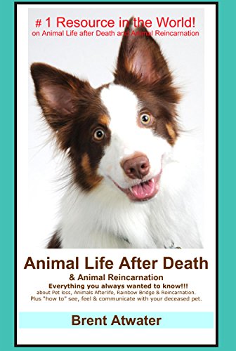 Animal Life After Death & Animal Reincarnation- Everything you Always Wanted to Know