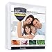 Sleep Guardian Queen Mattress Protector - Lab Tested Premium Waterproof, Hypoallergenic Mattress Cover
