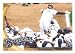 2010 Topps Baseball Card #1 Prince Fielder Milwaukee Brewers - Mint Condition - Shipped In Protective ScrewDown Display Case!