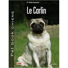 Carlin
