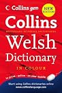 Welsh Dictionary