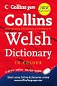 Welsh Dictionary