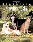 The Essential Siberian Husky (Howell Book House's Essential)