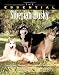 The Essential Siberian Husky (Howell Book House's Essential)