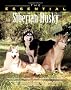 The Essential Siberian Husky (Essential Guide)