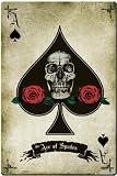 Empire 173850 Rose Poster, Alchemy Ace of Spades 61 x 91.5 cm