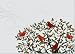 Festive Birds Deluxe Holiday Boxed Cards (Christmas Cards, Holiday Cards, Greeting Cards)