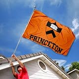 Princeton Tigers University Large College Flag