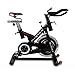 Bladez Fitness Master GS Indoor Cycle