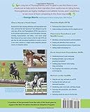 Beyond the Track: Retraining the Thoroughbred from Racecourse to Riding Horse Beyond the Track: Retraining the Thoroughbred from Racecourse to Riding Horse