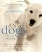 Angel Dogs: Divine Messengers of Love