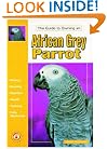 The Guide to Owning an African Grey Parrot