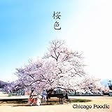 桜色 (初回限定盤) (DVD付) (CHICAGO POODLE)