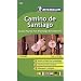 Carte ZOOM Camino de Santiago
