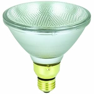 Feit Electric 90PAR/QFL/MP/2 90-Watt Par 38 Halogen Reflector, Flood Light, Clear, 2 Pack