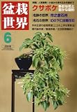 盆栽世界 2008年 06月号 [雑誌]