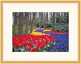 12x16 / 12 x 16 Natural Round Corner Picture Frame .. .875'' wide