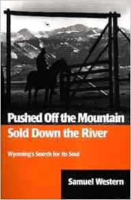 Pushed off the mountain sold down the river audiobook image