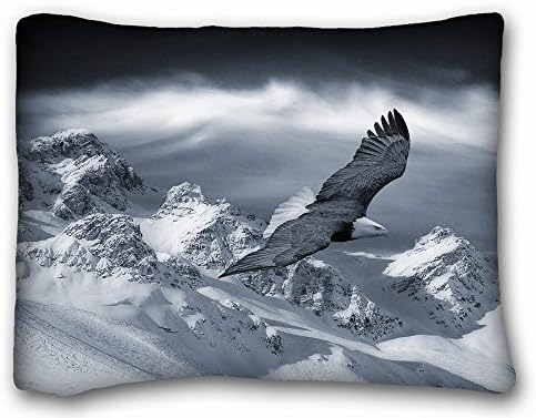 Decorative Standard Pillow Case Animals eagle Mountains winter snow flight 20"*26" One Side