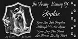 12 X 6 Pet Memorial Marker with Gone But Not Forgotten Poem. Cat, Dog, Horse or Any Lost Pet