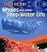 Whales & Other Deep-Water Life