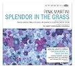 Splendor In The Grass (Deluxe Edition)