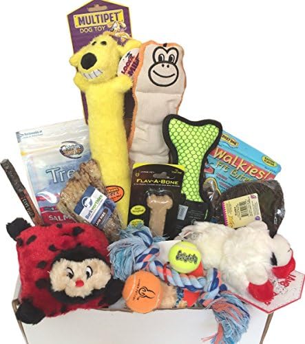 Woof! Doggie Gift Box, Treat &amp; Play, For Puppies