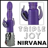 Rabbit Style Vibrator Joy Nirvina Purple