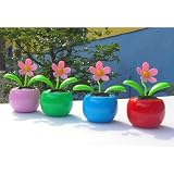 vevendo 4er Set Solarblume Wackelblume in 4 tollen Farben Solar