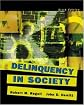 Delinquency in Society: A Child-Centered Approach
