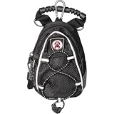 Nevada Las Vegas Runnin Rebels NCAA Mini Day Pack
